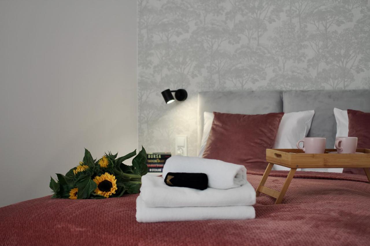 Luna Apartments Jelenia Góra Esterno foto